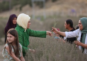 Emine Erdoan, Ankara da Ekolojik Kynde lavanta hasad yapt